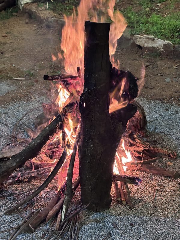 Bon-fire nights