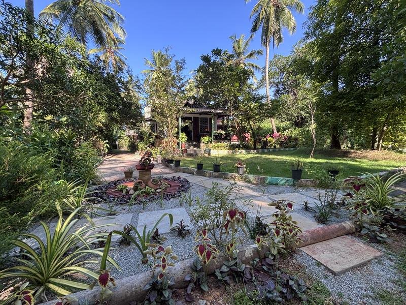The entrance garden