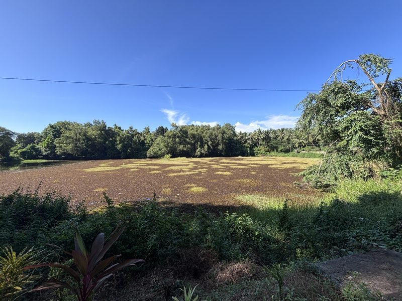 The lake next door
