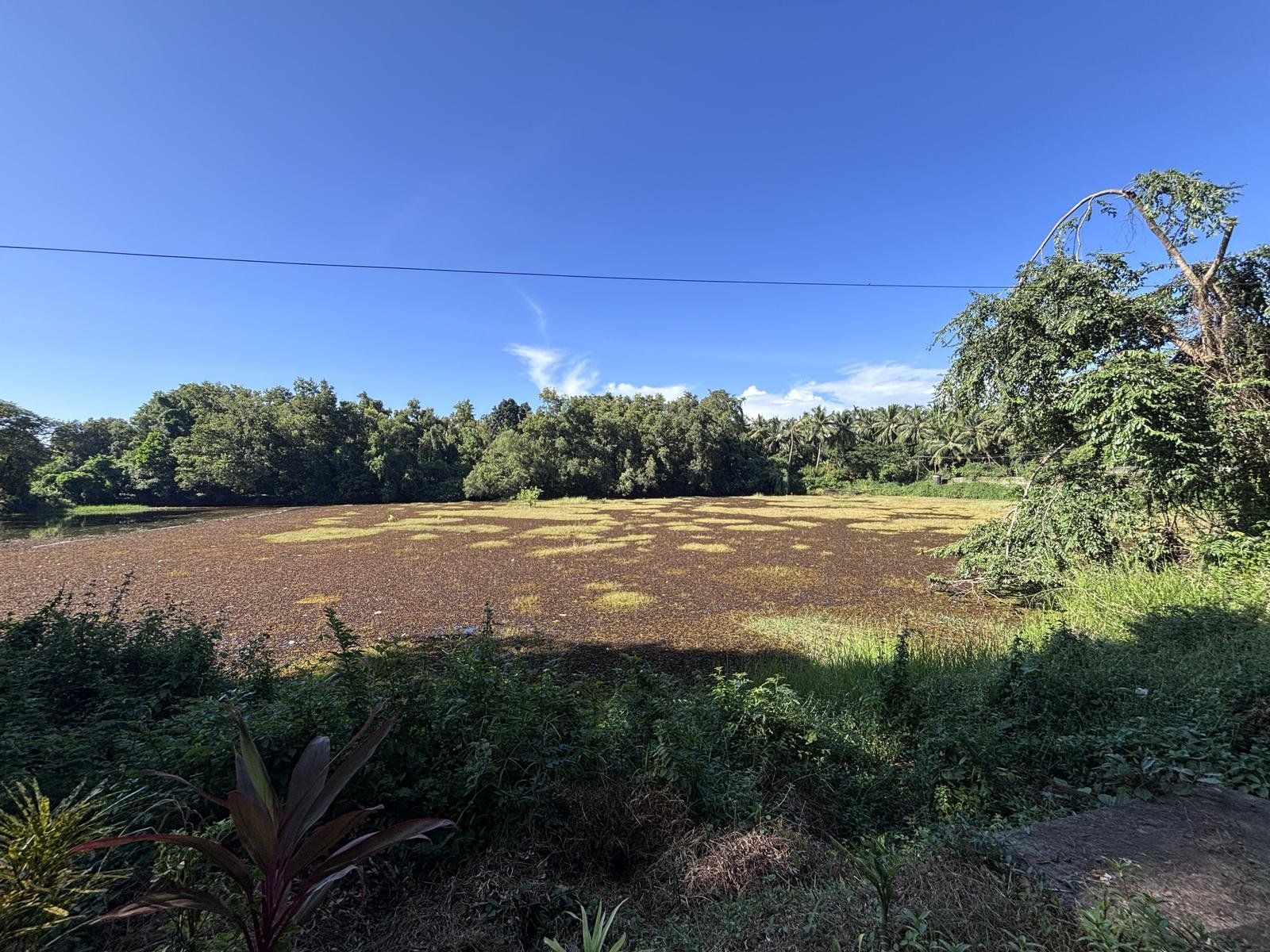 The lake next door at Calamara